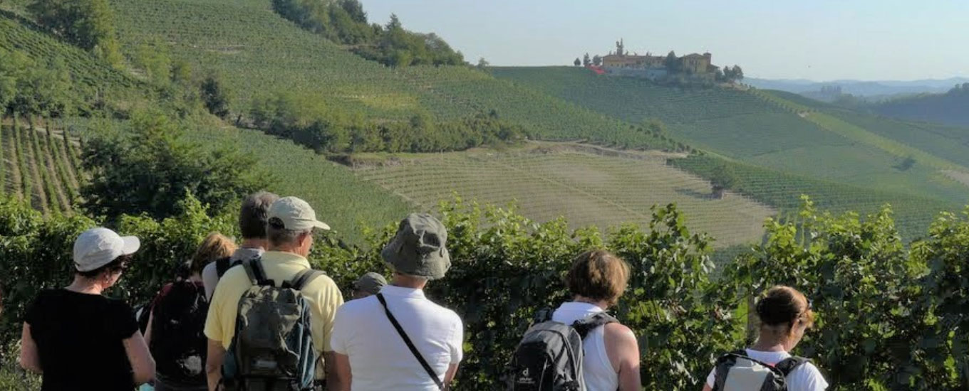 wijngaarden italie bezoeken