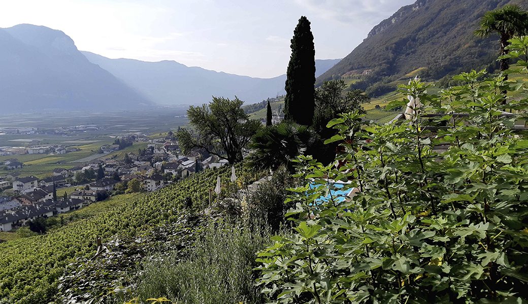 De mediterrane dalen in Alto Adige